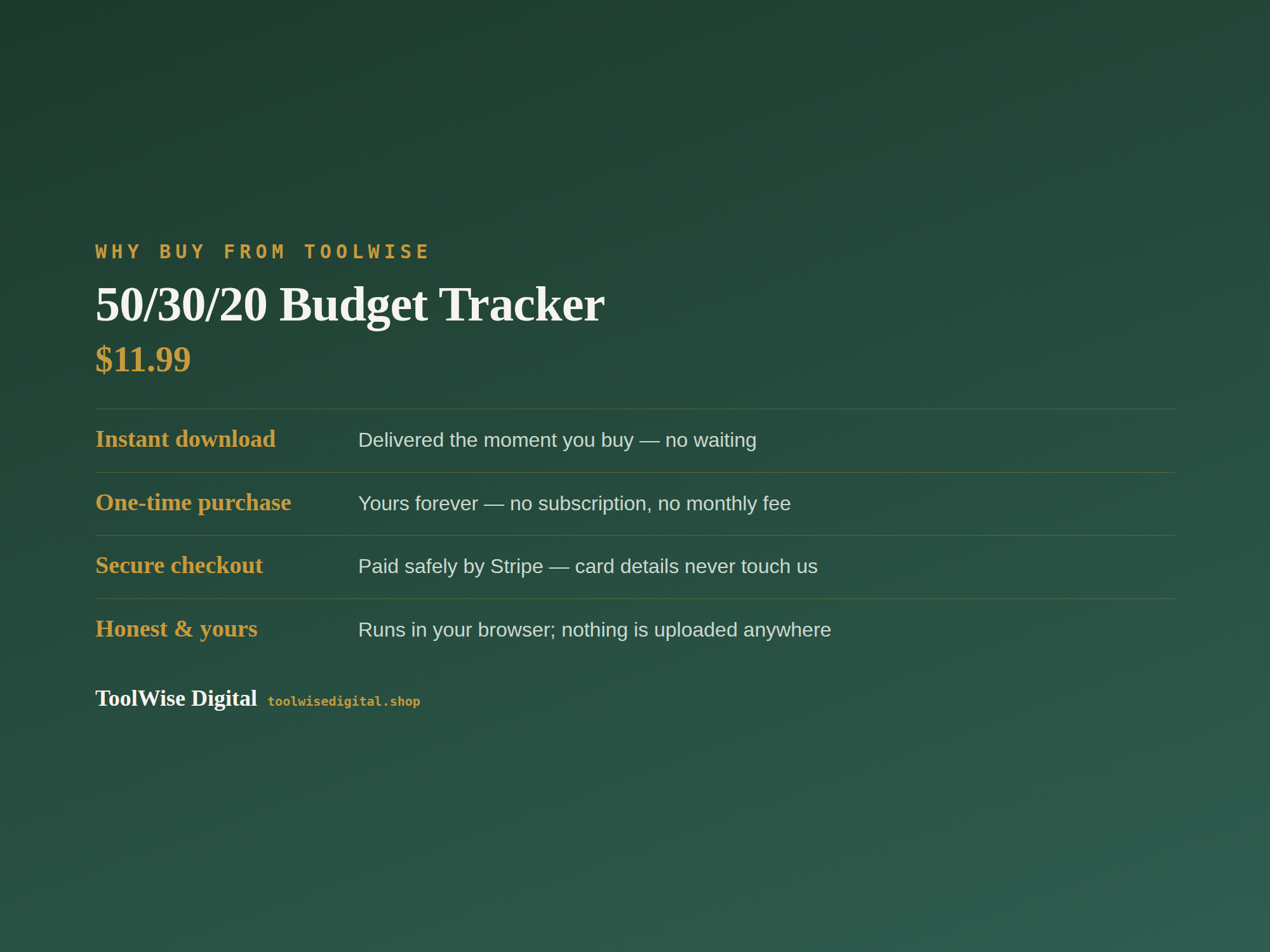 50/30/20 Budget Tracker — Google Sheets & Excel spreadsheet by ToolWise Digital — view 8