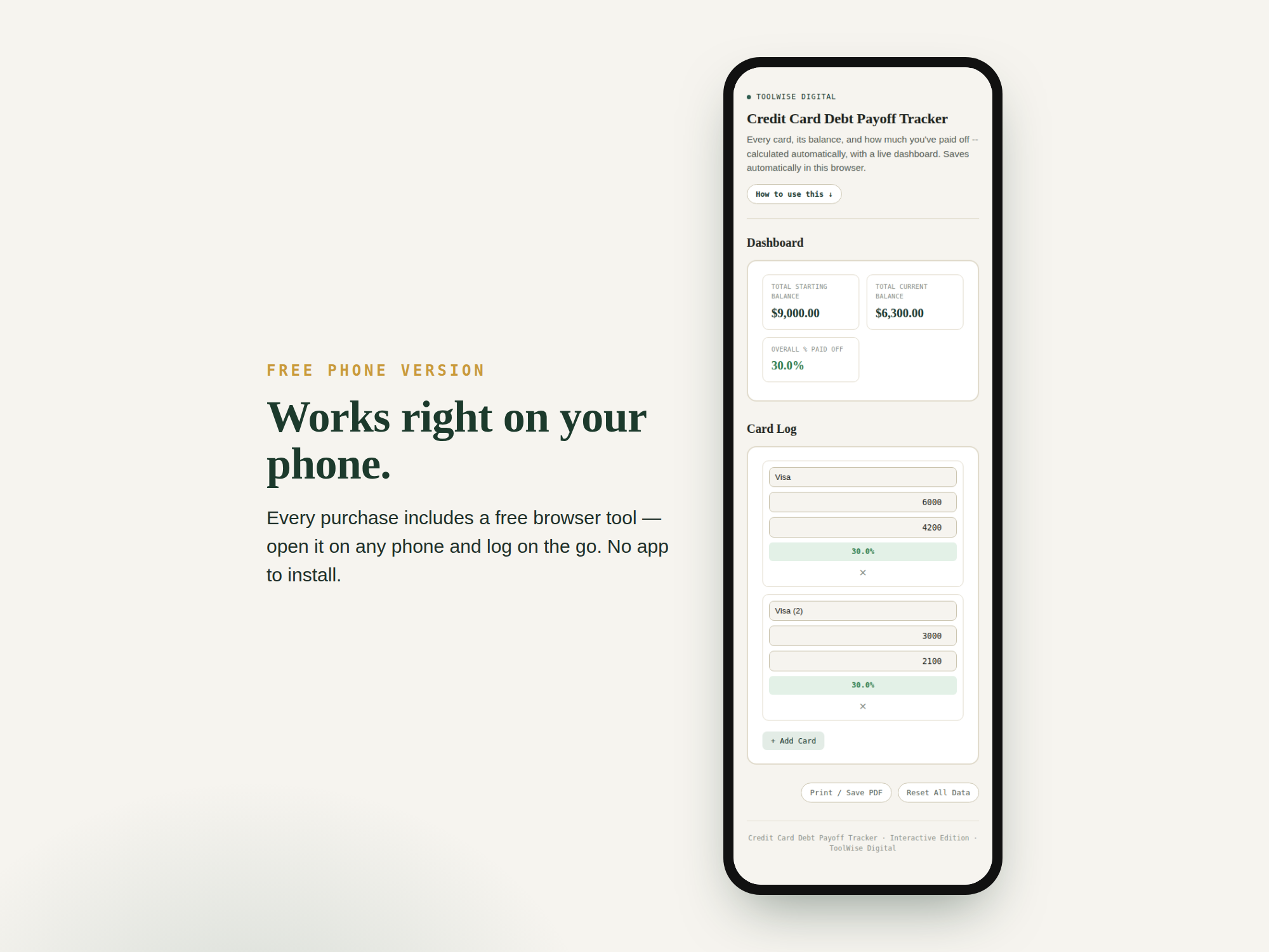 Credit Card Debt Payoff Tracker — Google Sheets & Excel spreadsheet by ToolWise Digital — view 3