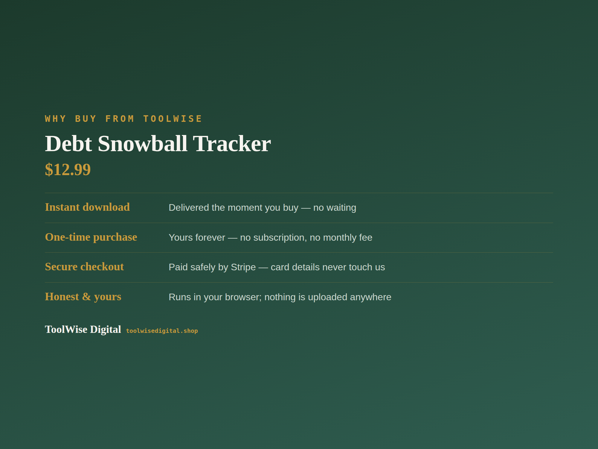 Debt Snowball Tracker — Google Sheets & Excel spreadsheet by ToolWise Digital — view 8