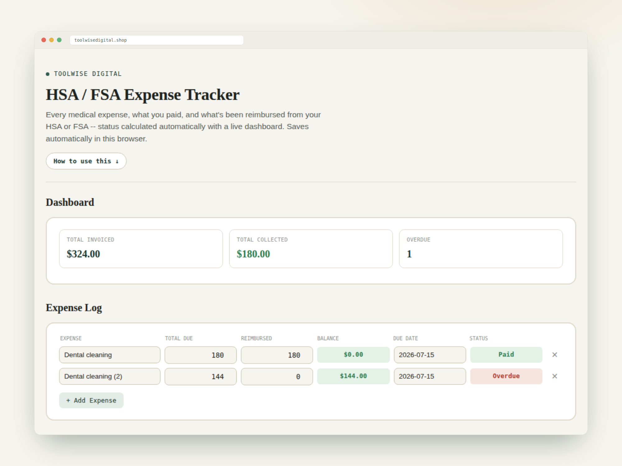 HSA FSA Expense Tracker — Google Sheets & Excel spreadsheet by ToolWise Digital — view 2