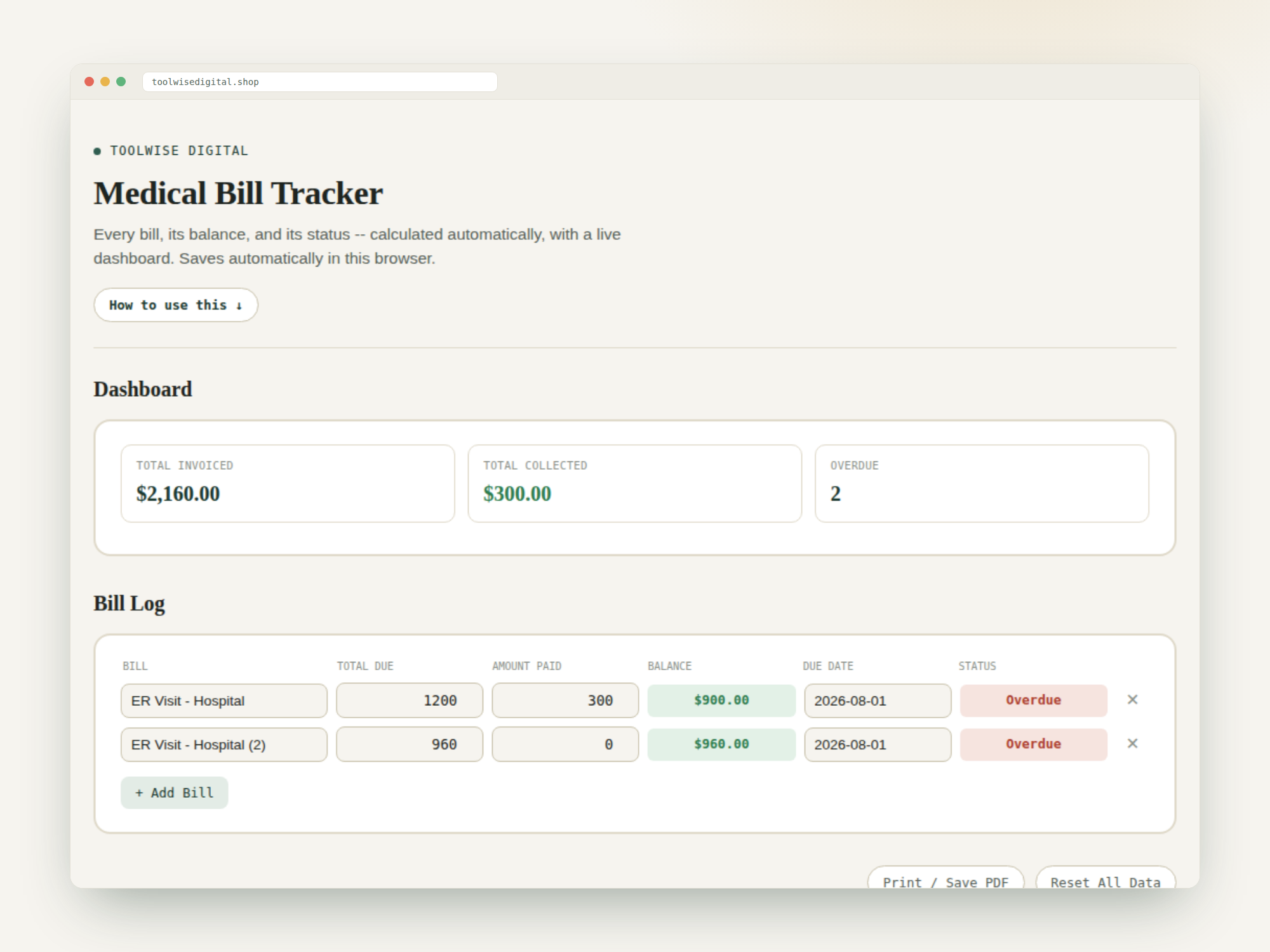 Medical Bill Tracker — Google Sheets & Excel spreadsheet by ToolWise Digital — view 2