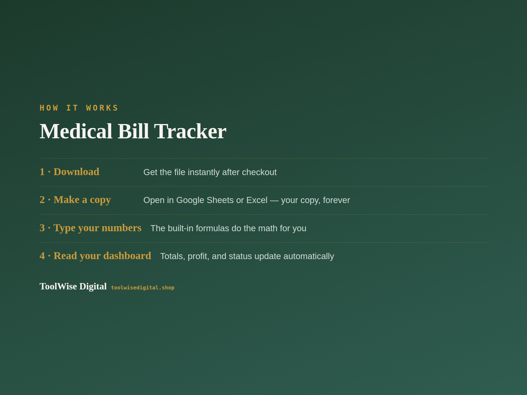 Medical Bill Tracker — Google Sheets & Excel spreadsheet by ToolWise Digital — view 5