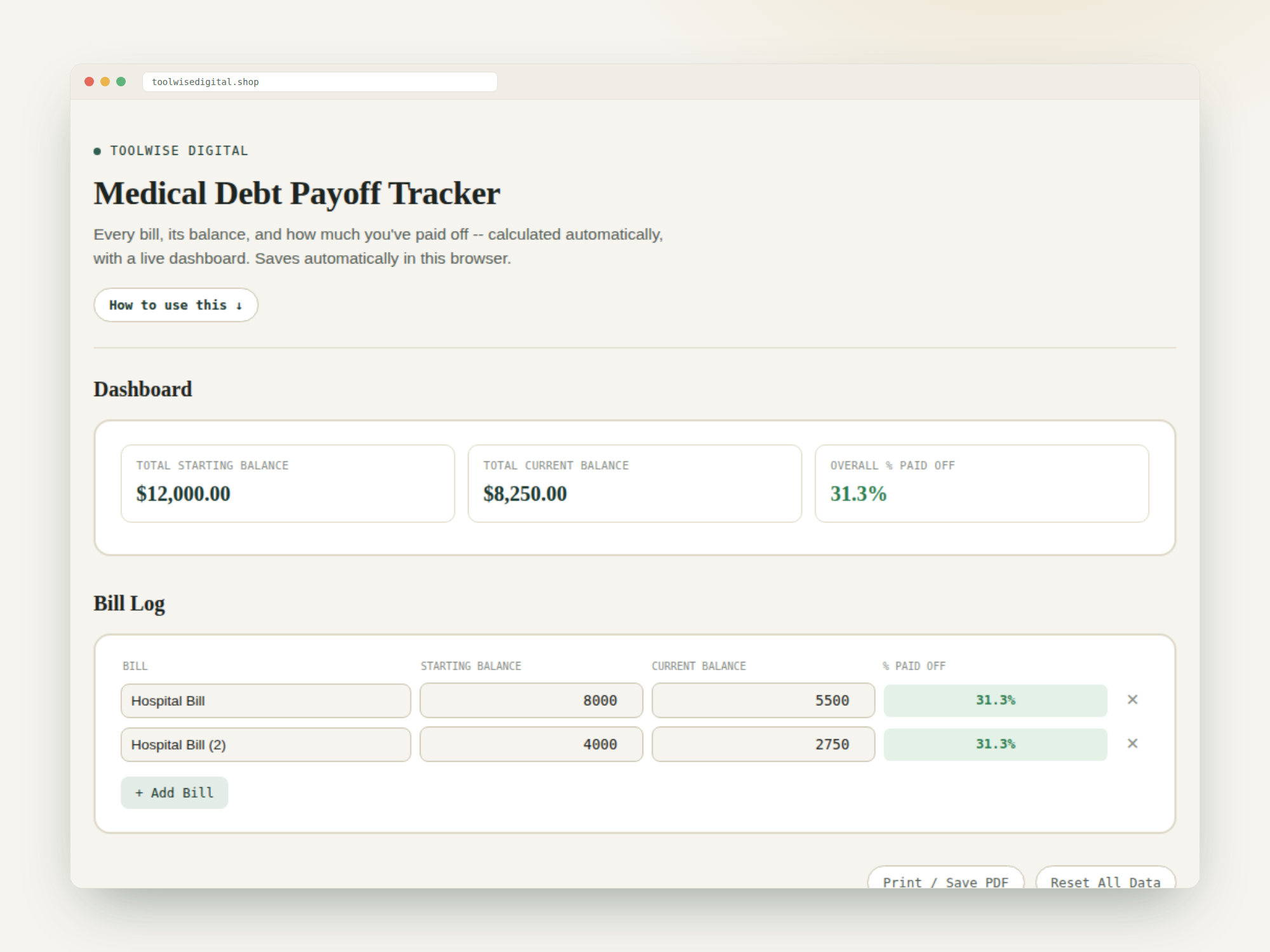Medical Debt Payoff Tracker — Google Sheets & Excel spreadsheet by ToolWise Digital — view 2
