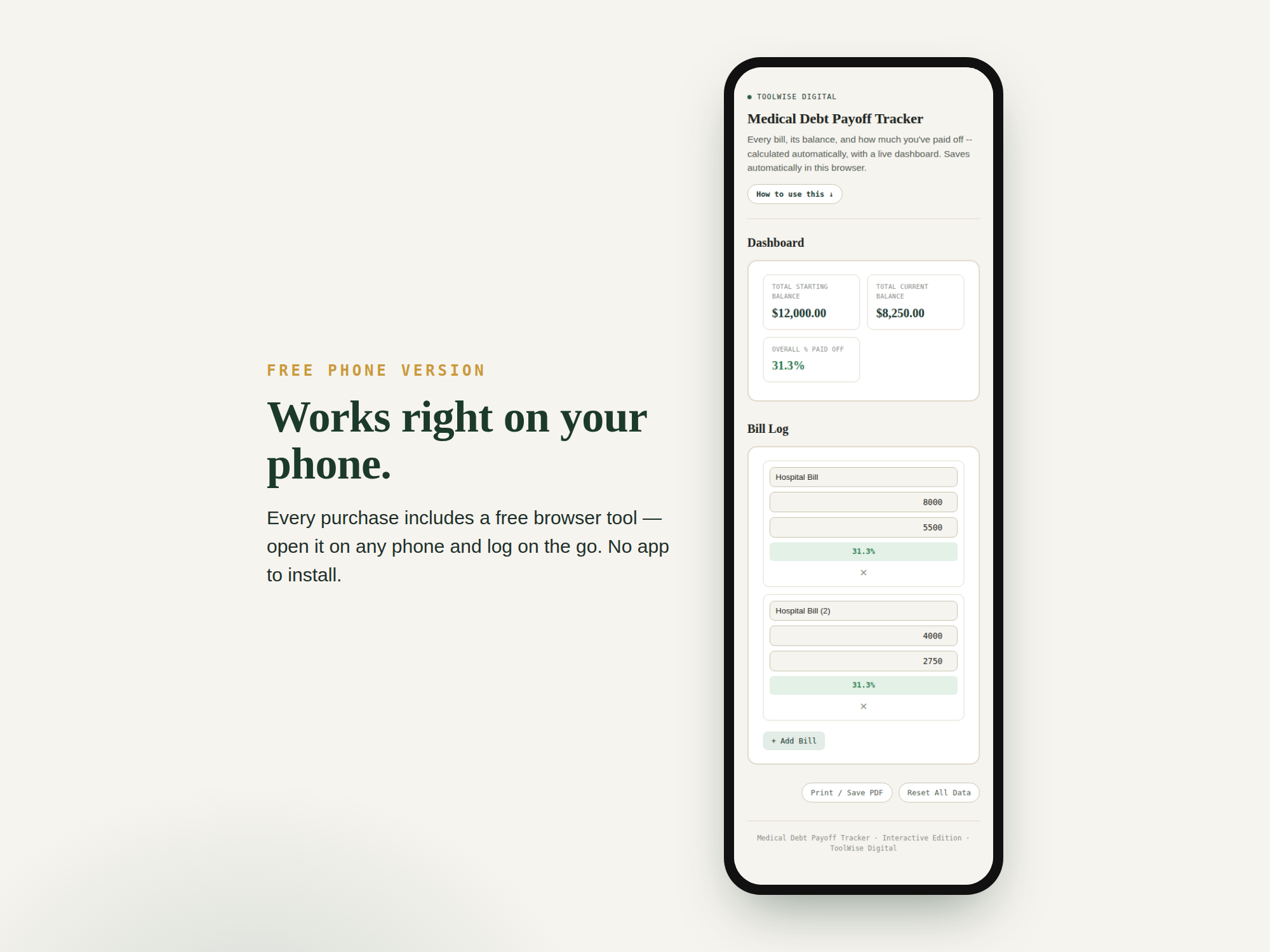Medical Debt Payoff Tracker — Google Sheets & Excel spreadsheet by ToolWise Digital — view 3