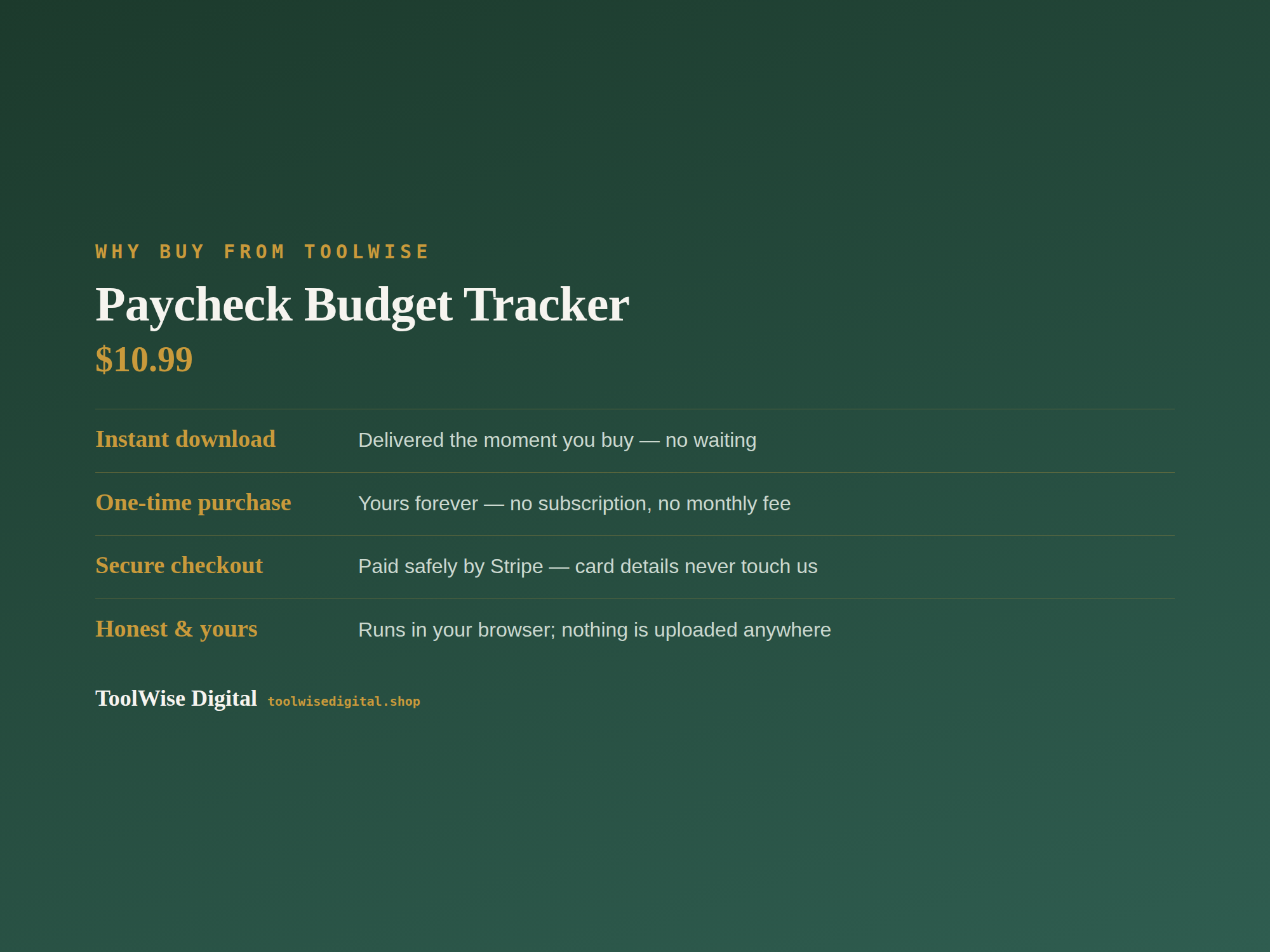 Paycheck Budget Tracker — Google Sheets & Excel spreadsheet by ToolWise Digital — view 8