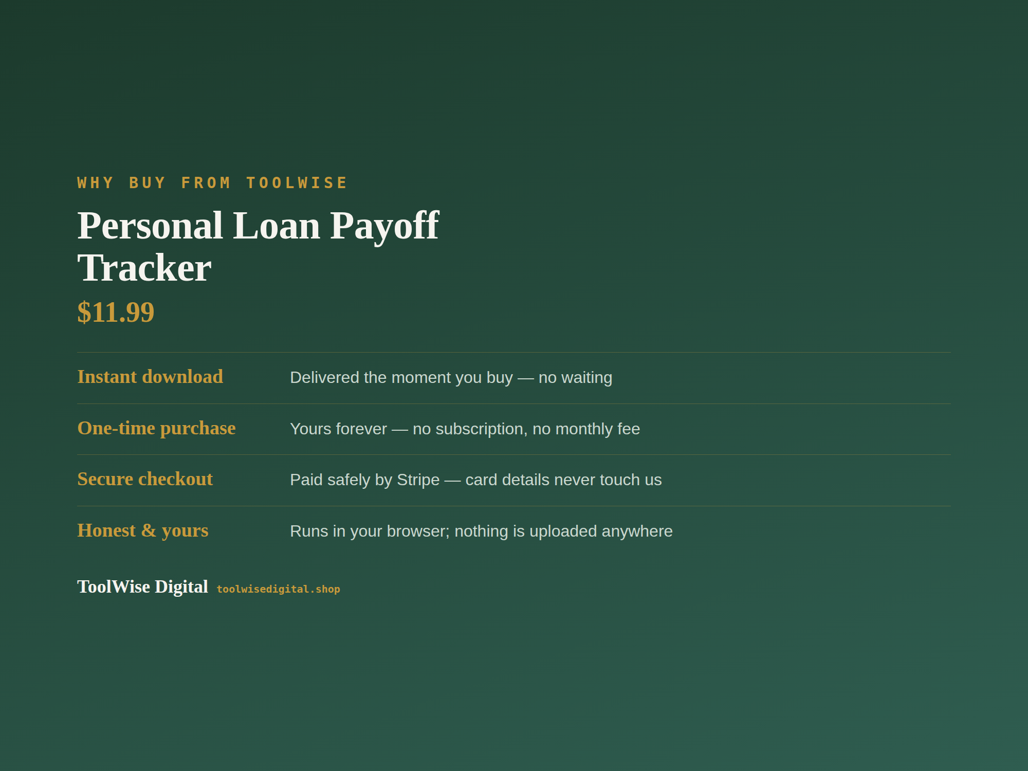 Personal Loan Payoff Tracker — Google Sheets & Excel spreadsheet by ToolWise Digital — view 8