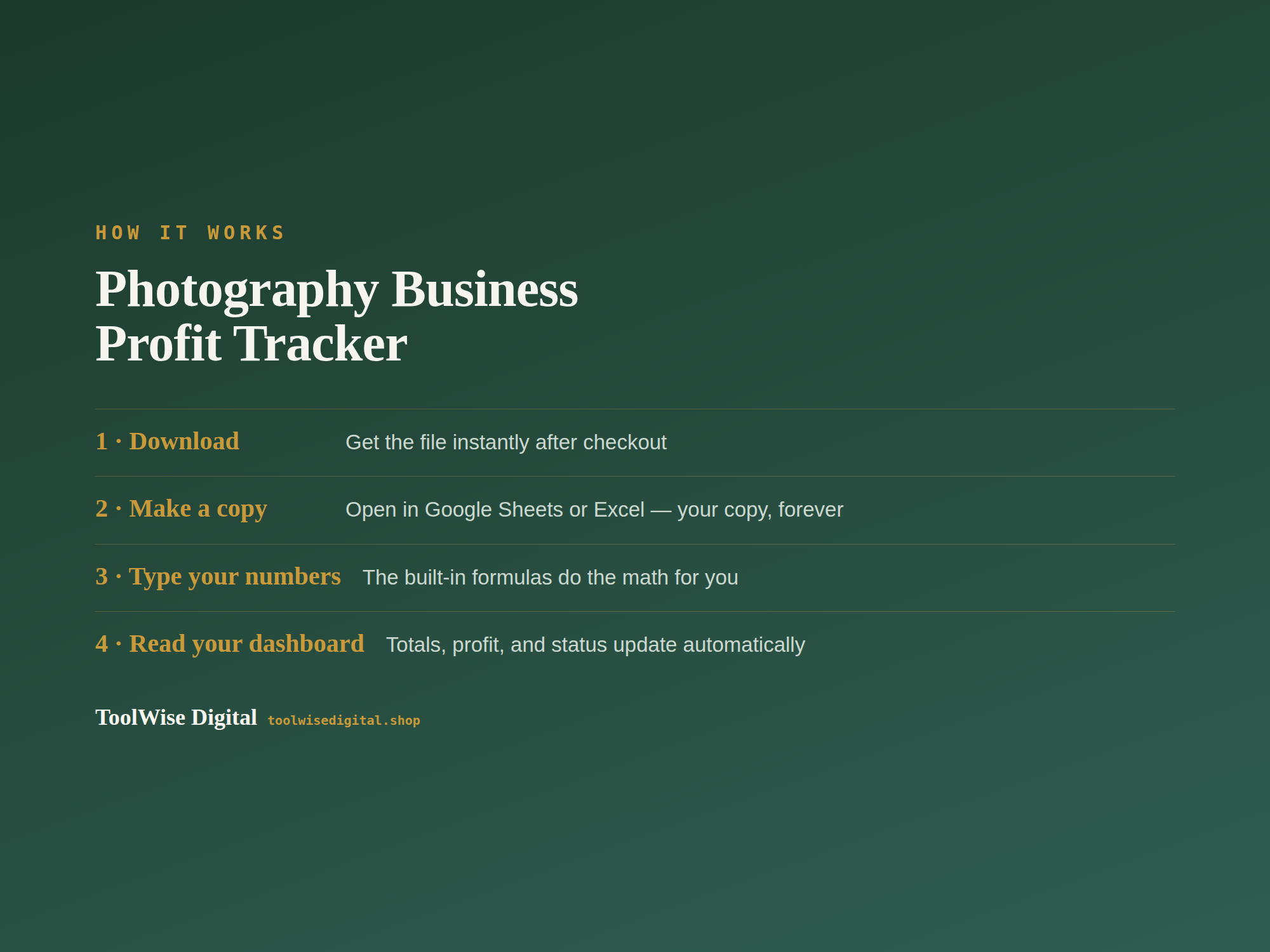 Photography Business Profit & Loss Tracker — Google Sheets & Excel spreadsheet by ToolWise Digital — view 5