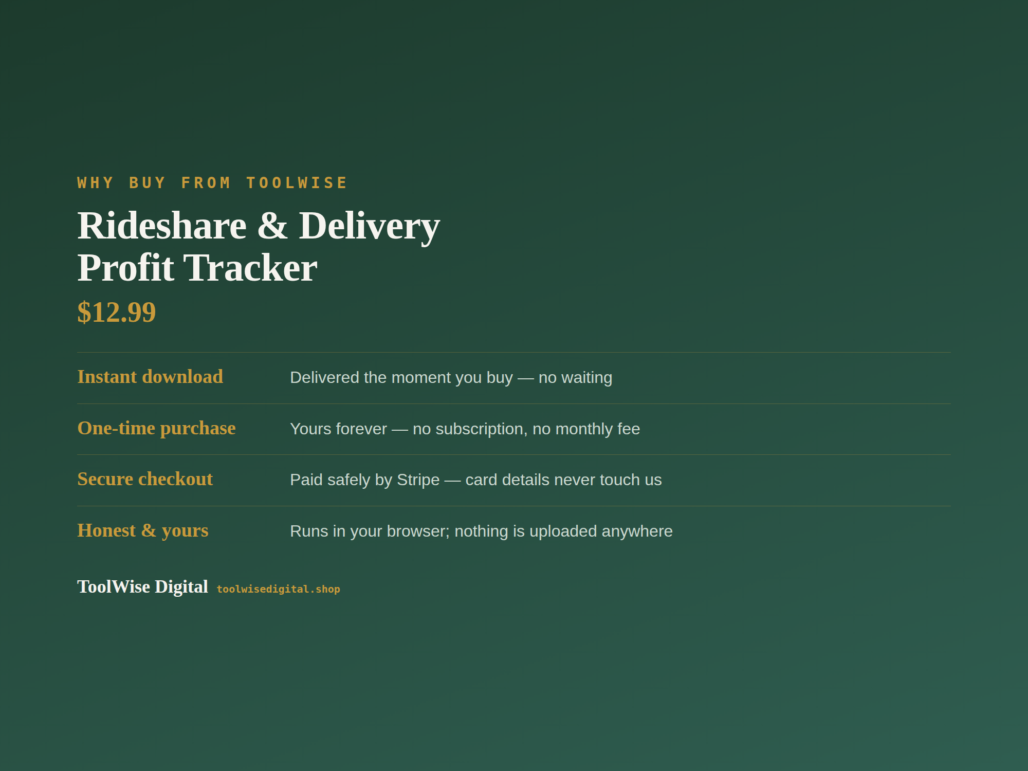 Rideshare & Delivery Profit Tracker — Google Sheets & Excel spreadsheet by ToolWise Digital — view 8