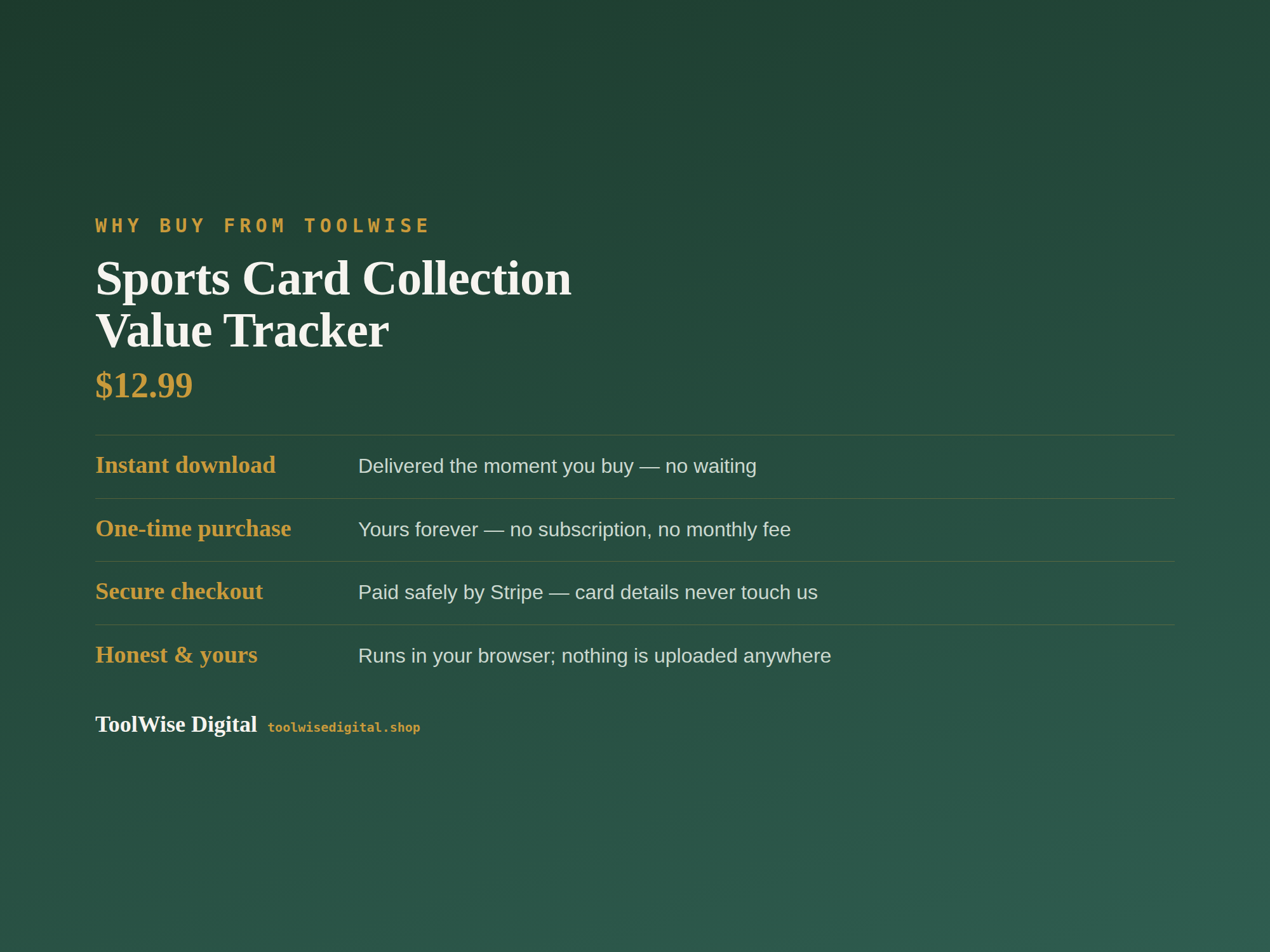 Sports Card Collection Value Tracker — Google Sheets & Excel spreadsheet by ToolWise Digital — view 8