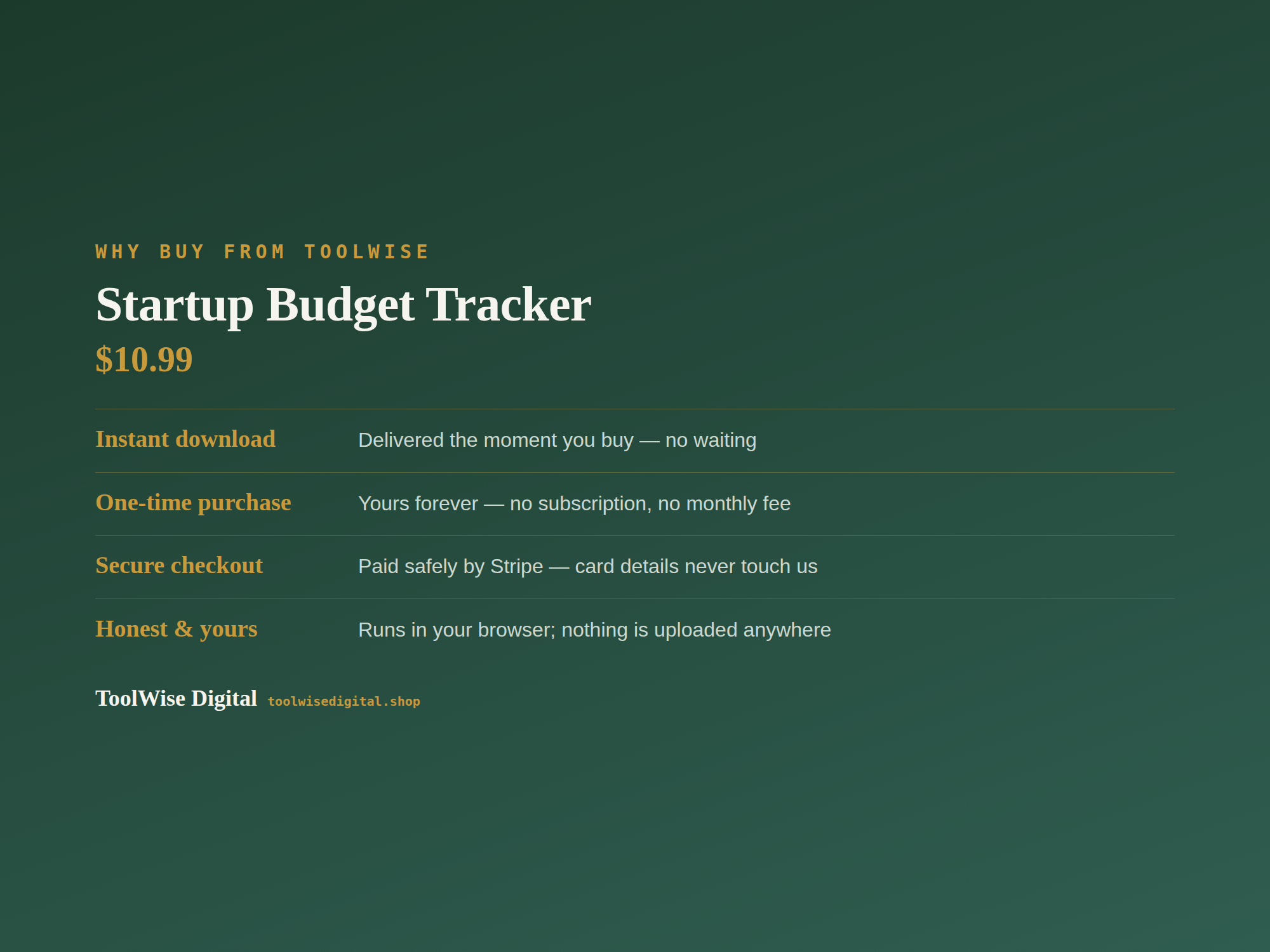 Startup Budget Tracker — Google Sheets & Excel spreadsheet by ToolWise Digital — view 8