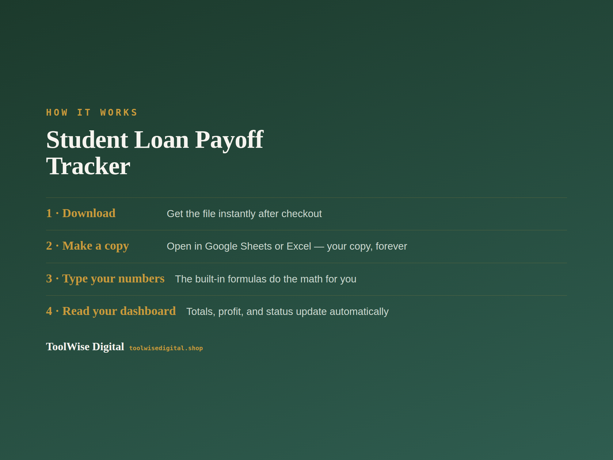 Student Loan Payoff Tracker — Google Sheets & Excel spreadsheet by ToolWise Digital — view 5