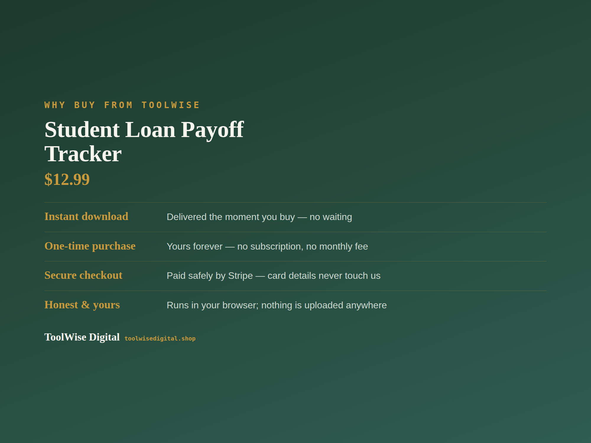 Student Loan Payoff Tracker — Google Sheets & Excel spreadsheet by ToolWise Digital — view 8