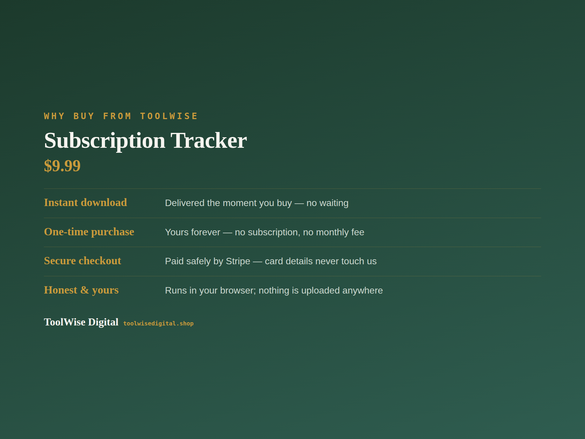 Subscription Tracker — Google Sheets & Excel spreadsheet by ToolWise Digital — view 8