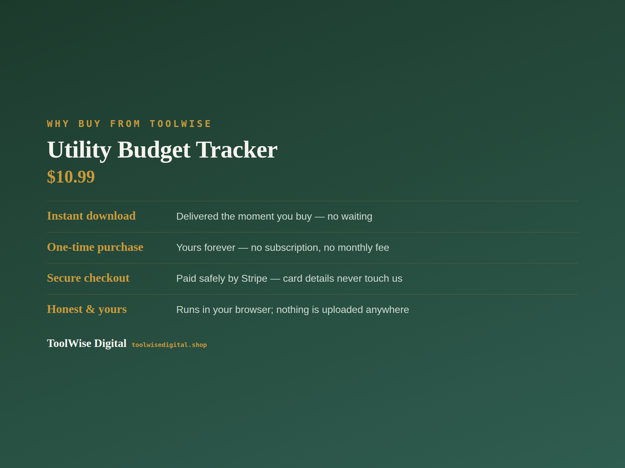 Utility Budget Tracker — Google Sheets & Excel spreadsheet by ToolWise Digital — view 8